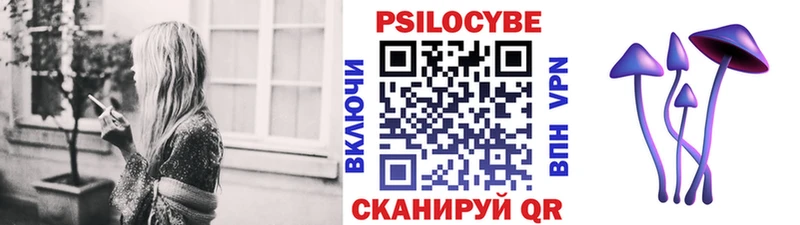 OMG маркетплейс  наркота  Суджа  Псилоцибиновые грибы мухоморы 