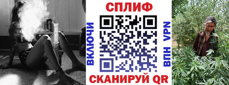 Бошки марихуана сатива  Суджа 